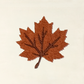 Fall Icon