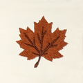 Fall Hat Icon